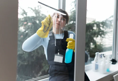 Nettoyage de vitres intérieures et extérieures à Junas